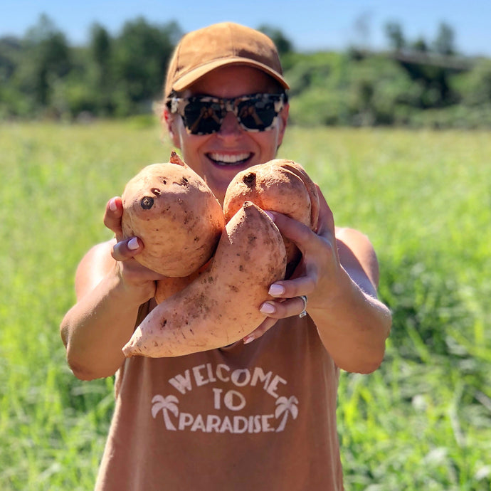 Paddock to Plate with Australian Sweet Potatoes