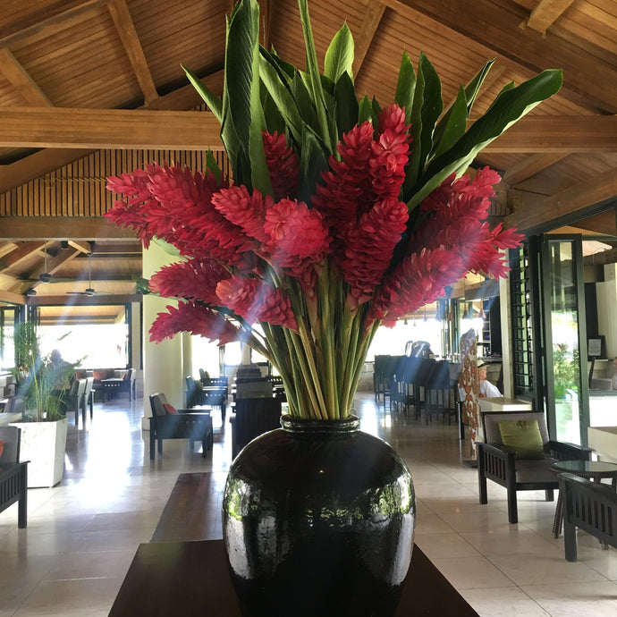 Warwick Le Lagon Vanuatu is Absolute Paradise