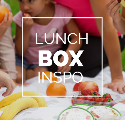 Lunch Box Inspo eBook